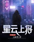 星云上将封面