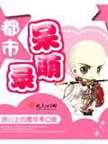 都市呆萌录封面