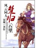 风云楚归云里封面