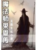 魔法师莱恩传封面