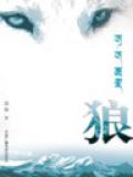 狼群封面
