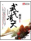武气凌天封面