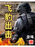 飞豹出击封面