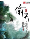 偷天封面