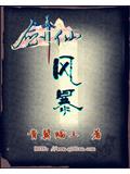 剑仙风暴封面