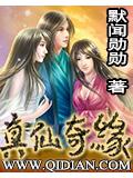 真仙奇缘封面
