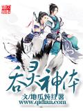 吞灵神体封面