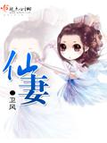 仙妻封面