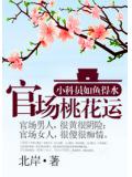 官场桃花运封面