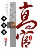高官封面