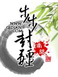 步步封疆封面