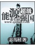 超级能源强国封面