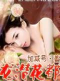 龙潜花都封面