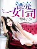 漂亮女上司封面