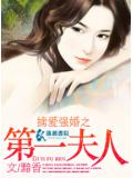 掳爱强婚之第一夫人封面