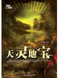 天灵地宝封面