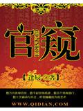 官窥封面