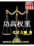 功高权重封面