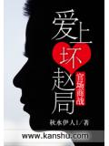 爱上坏赵局封面
