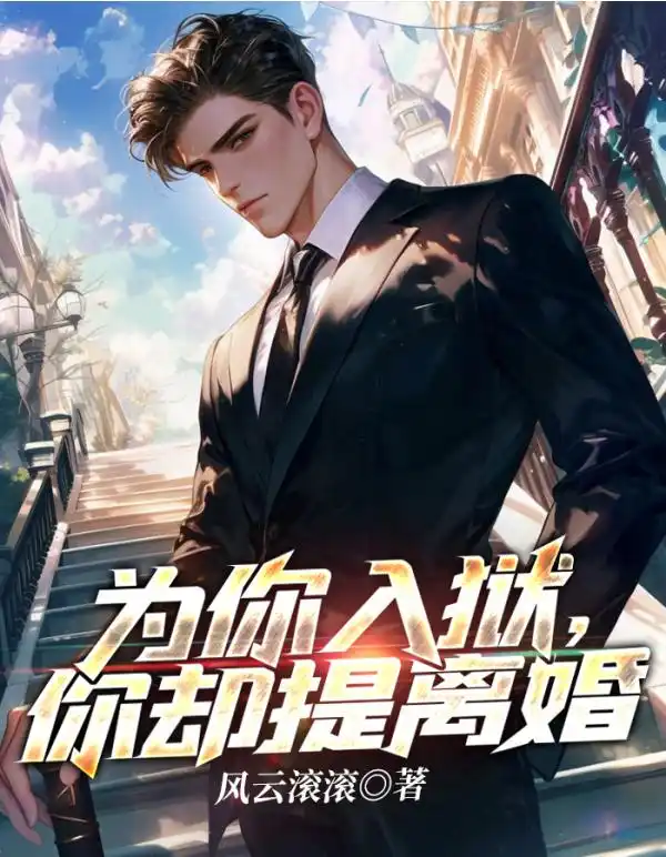 为你入狱，你却提离婚封面