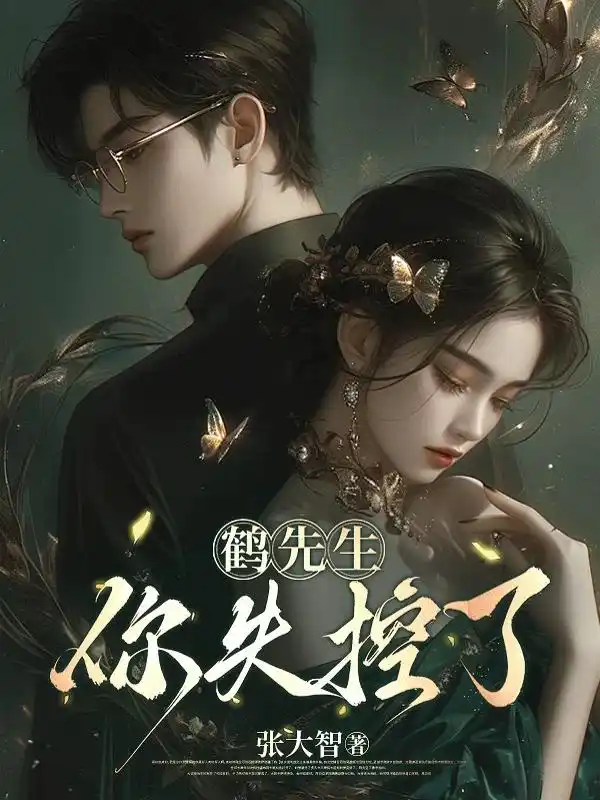 鹤先生，你失控了封面