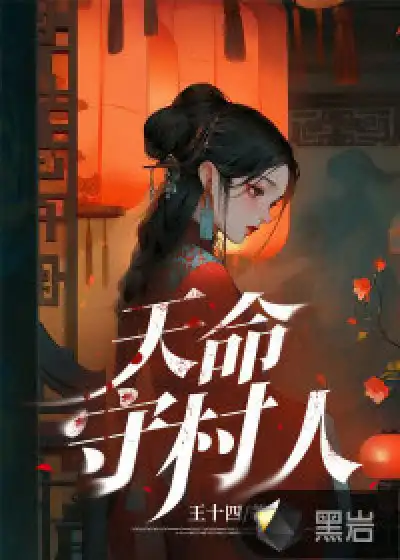天命守村人封面