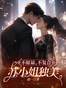 不原谅，不复合，苏小姐独美封面
