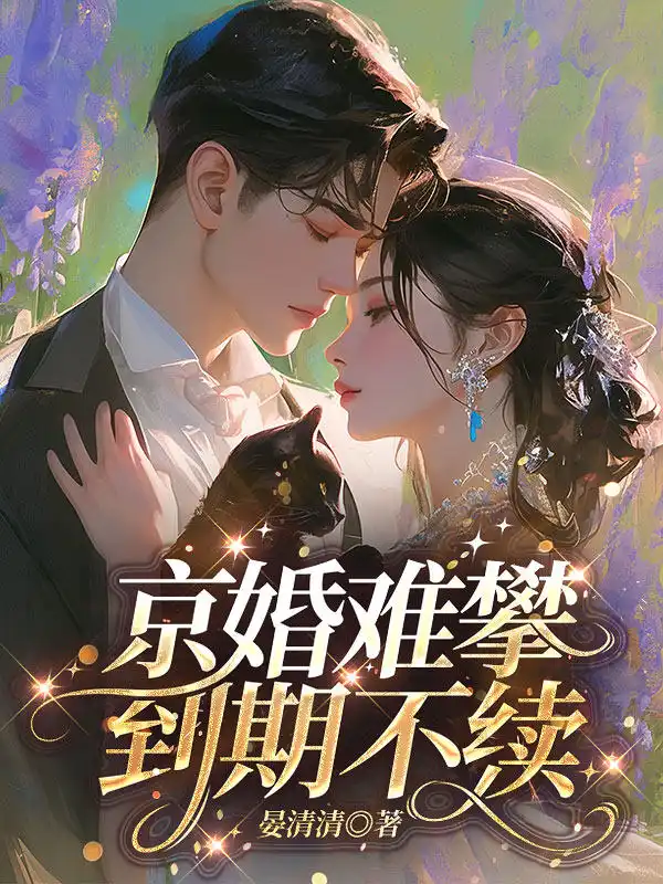 京婚难攀，到期不续封面