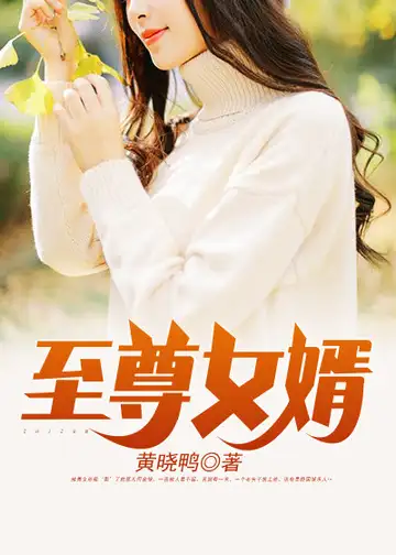 至尊女婿封面