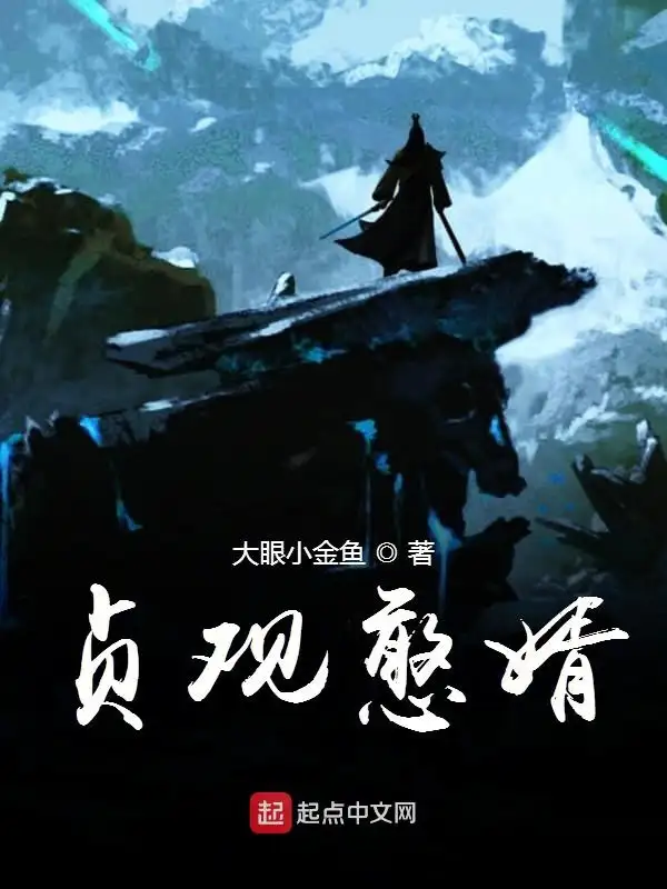 贞观憨婿封面