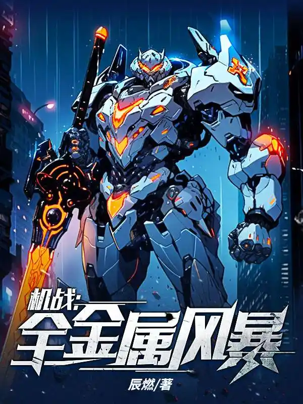 机战：全金属风暴封面