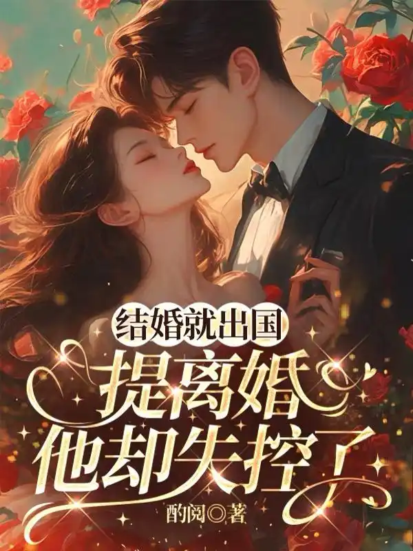 结婚就出国，提离婚他却失控了封面