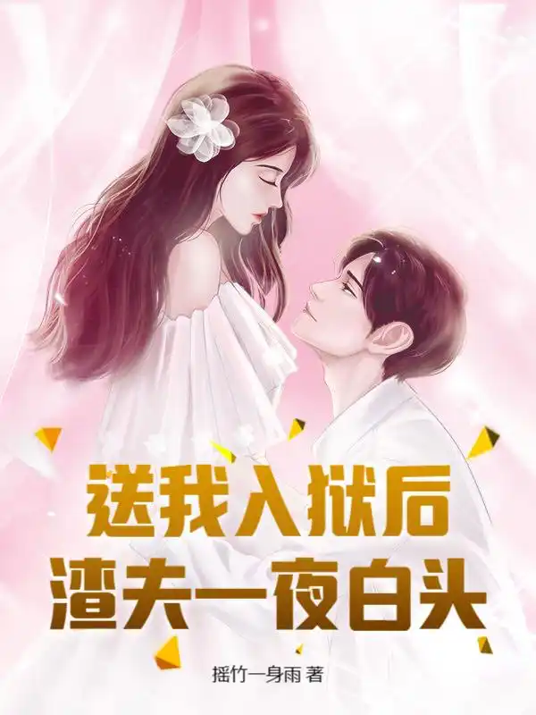 送我入狱后，渣夫一夜白头封面