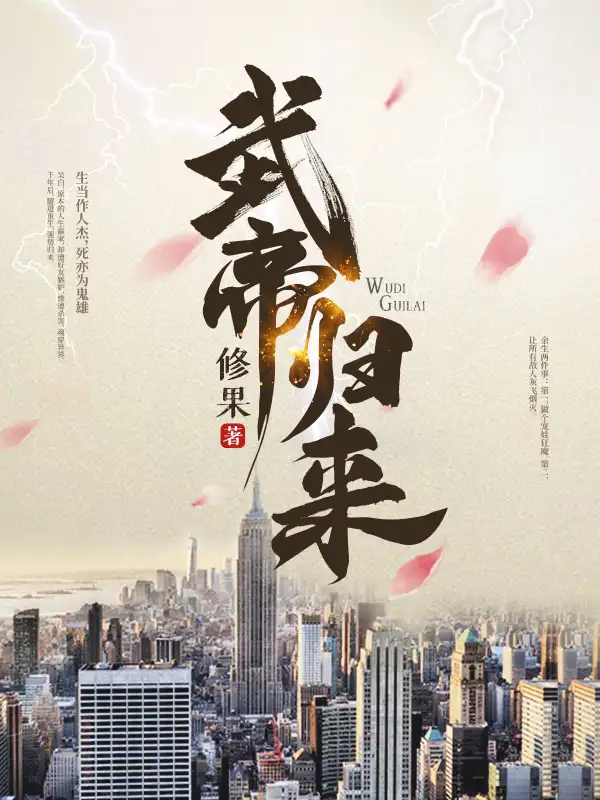武帝归来封面