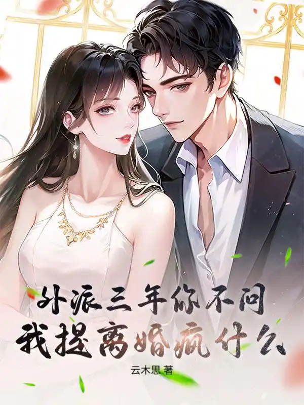 外派三年你不问，我提离婚疯什么？封面