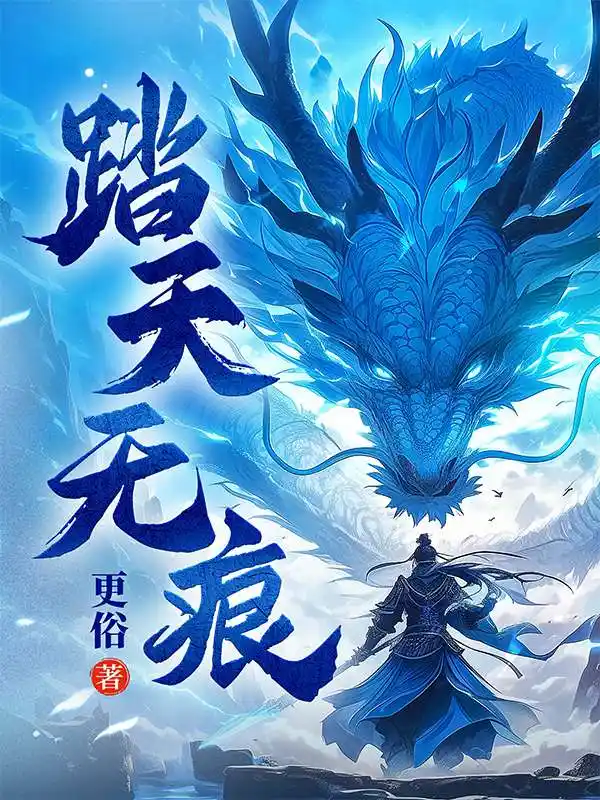 踏天无痕封面