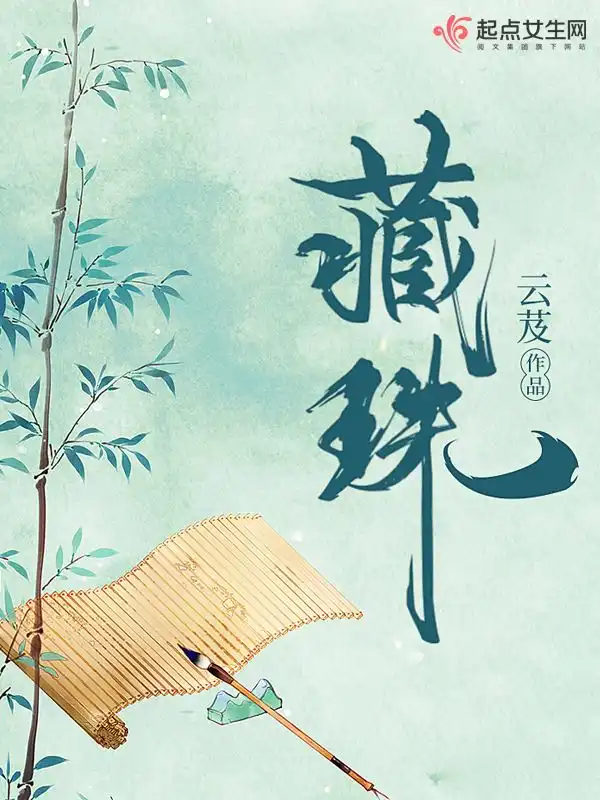藏珠封面