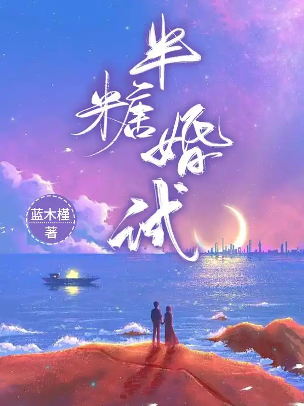 半糖婚试封面