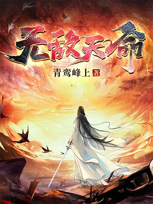 无敌天命封面