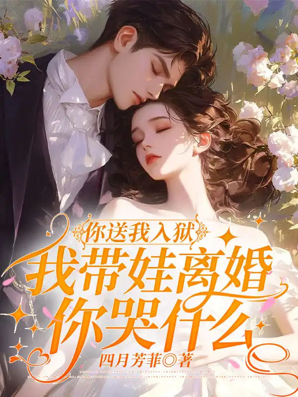 你送我入狱，我带娃离婚你哭什么封面