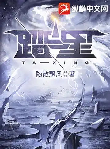 踏星封面