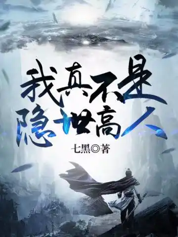 我真不是隐世高人封面