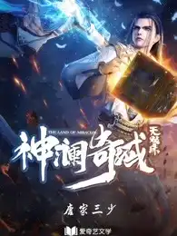 神澜奇域无双珠封面