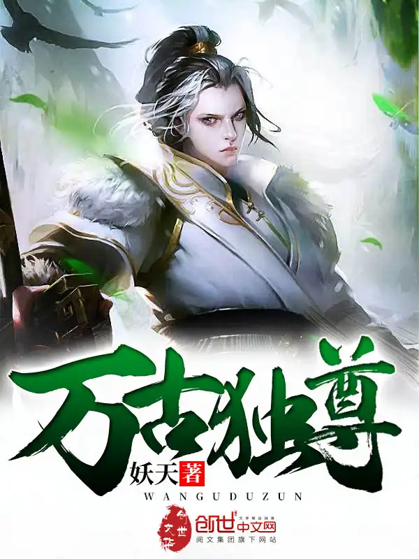 万古独尊封面