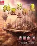 神匠职业领主封面