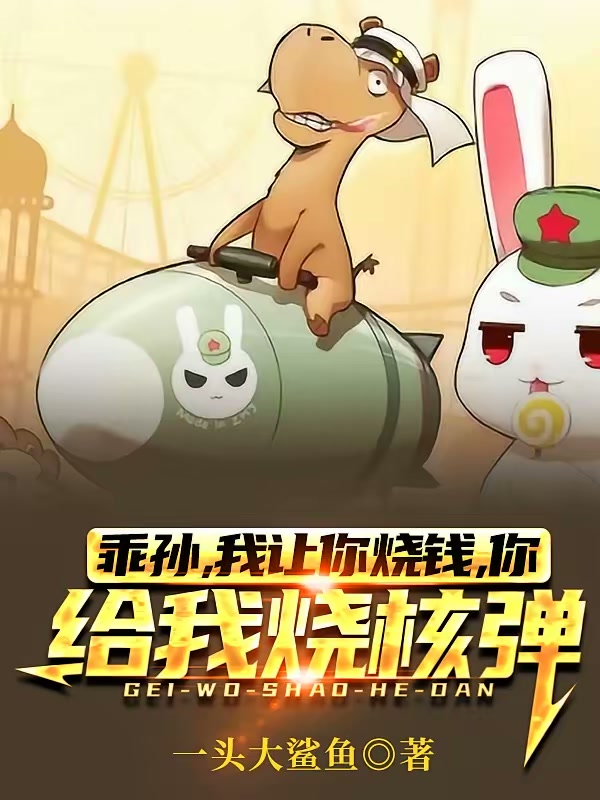 乖孙，我让你烧钱你给我烧核弹？封面