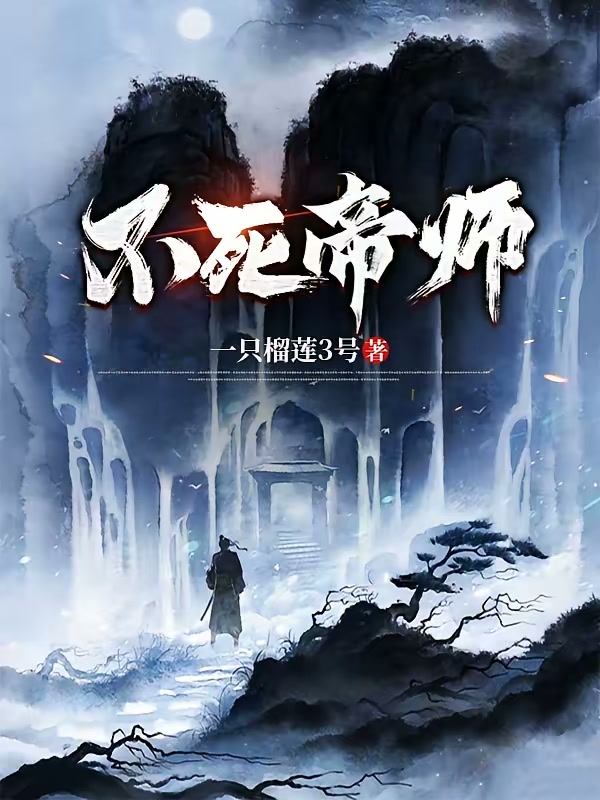 不死帝师封面