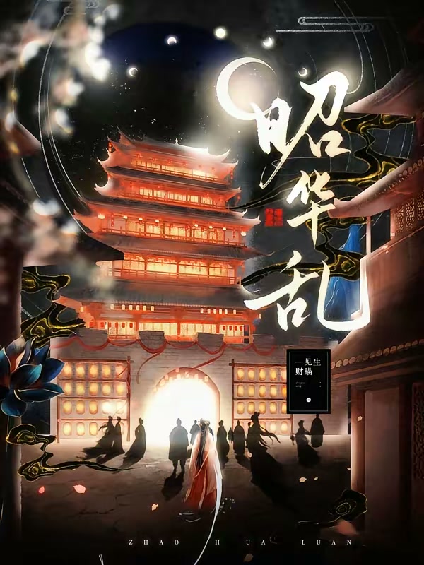 昭华乱封面