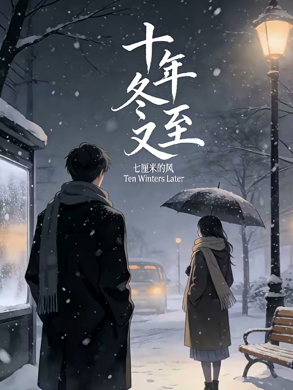 十年冬又至封面