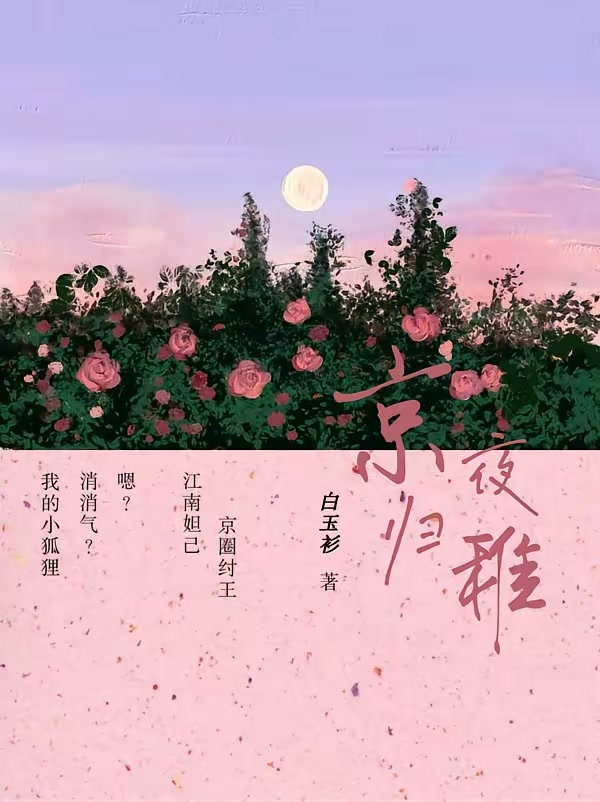 京夜归稚封面